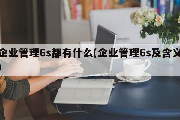 企业管理6s都有什么(企业管理6s及含义)